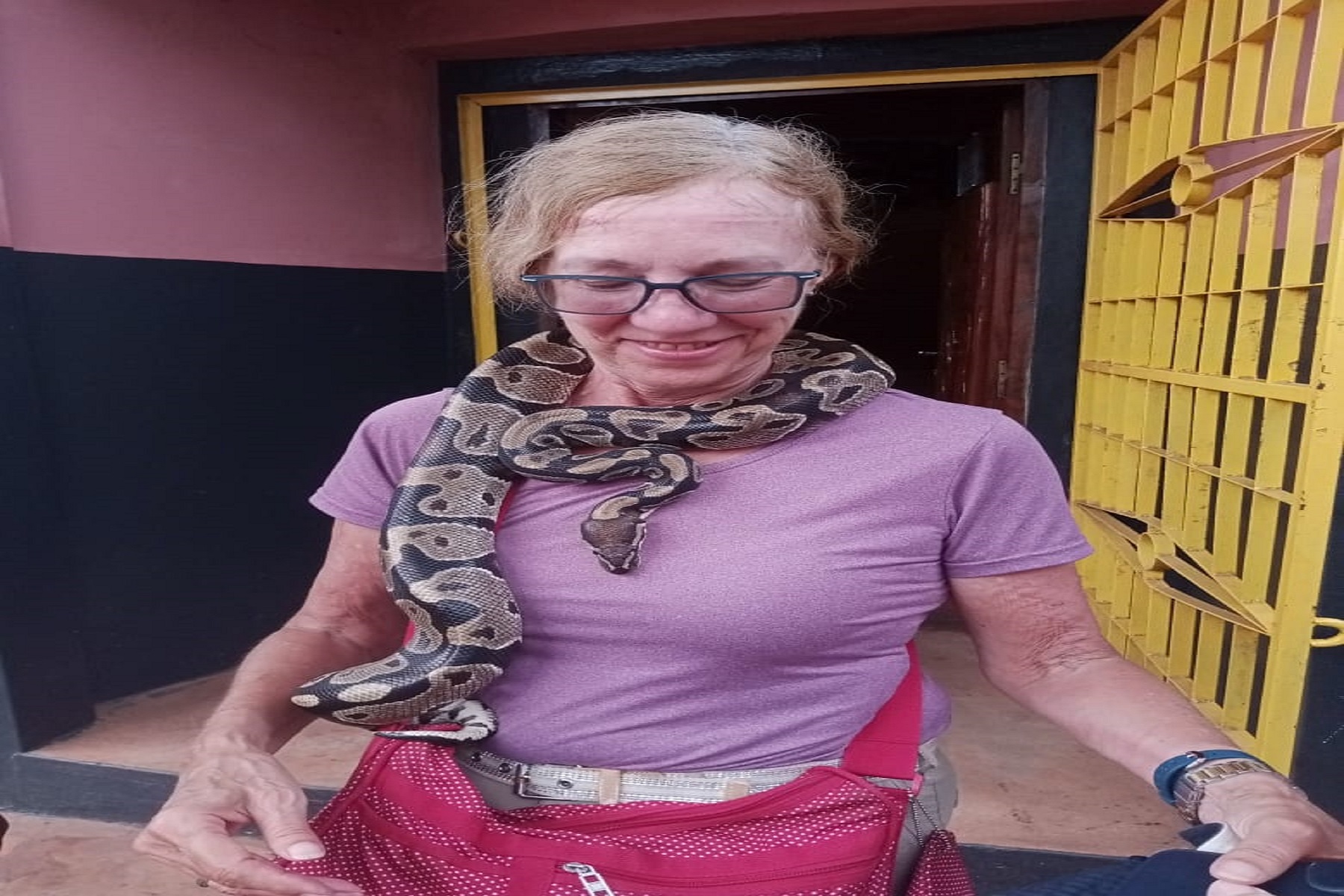 The Python Temple in Ouidah Photo 5